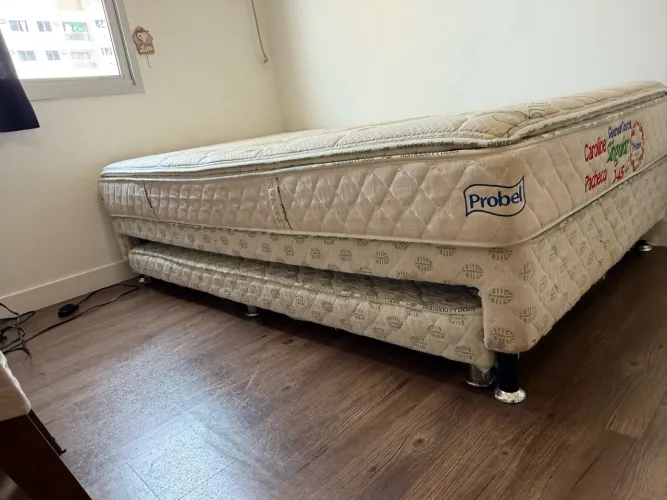 Bicama Probel Solteirão D45 com Cama Auxiliar