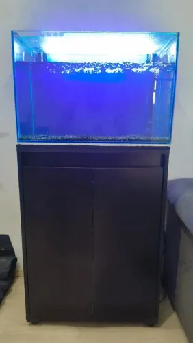 Vende-se Aquário COMPLETO