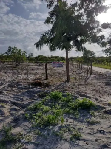 Vendo terreno de esquina em sucatinga Beberibe , medindo 60x61