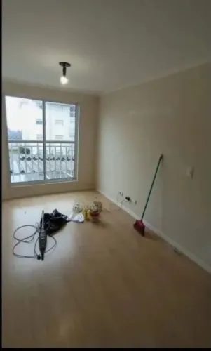 Pintor profissional