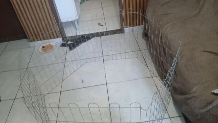Vende-se cercadinho pra cachorro ?