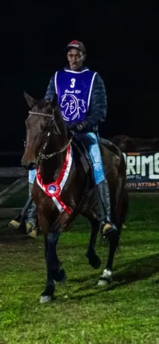 Vendo égua mangalarga marchador de pista