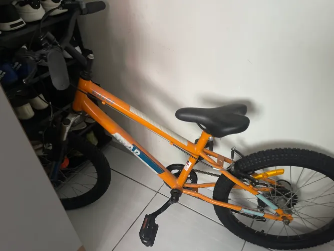 Bicicleta
