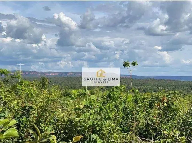 Excelente fazenda à venda na região do município de Tasso Fragoso.