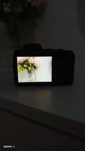 Nikon coolpix l330 