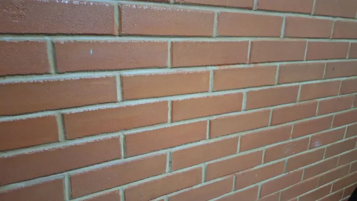 Tijolinho ecológico