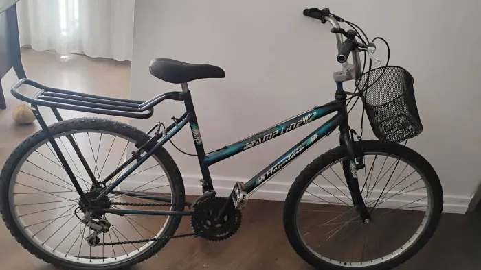 Bike com garupa e cestinha
