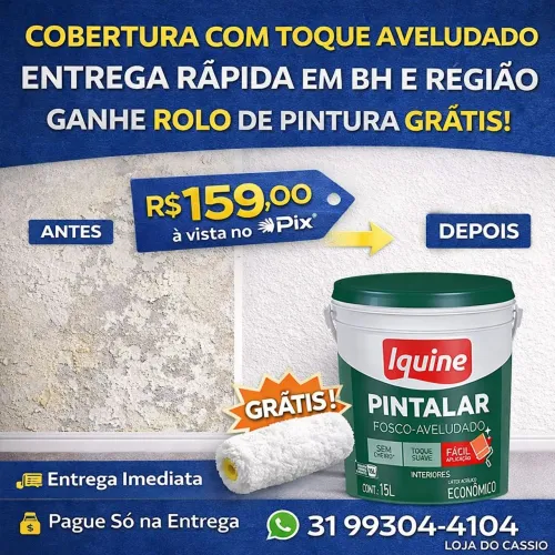 Tinta Economica Ótimo Rendimento Mais Brinde - BH 