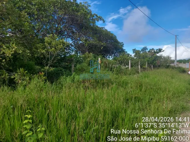 8 Terrenos à venda, com 1.000 m² cada, por R$ 360.000,00 a unidade - BR-101 - São José de