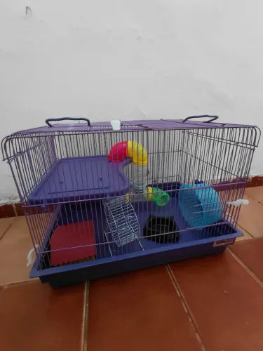 VENDO GAIOLA DE RATO