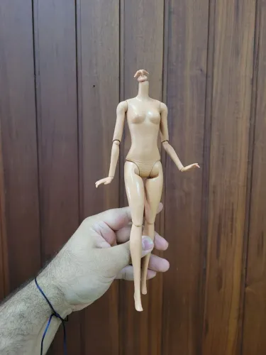 Lote reroots + barbies Gustavo ?