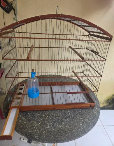 Gaiola grande 