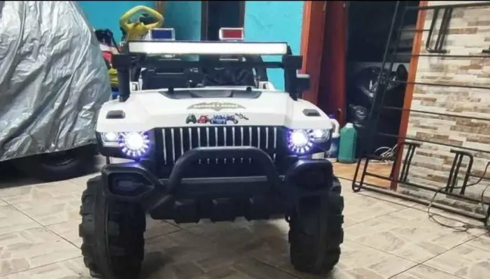 Carrinho elétrico 
