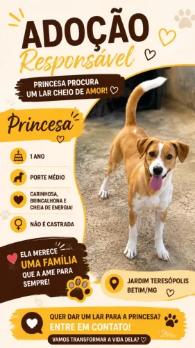 Doação responsável 