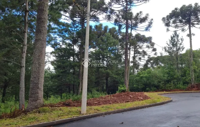Terreno em Gramado com 614m².