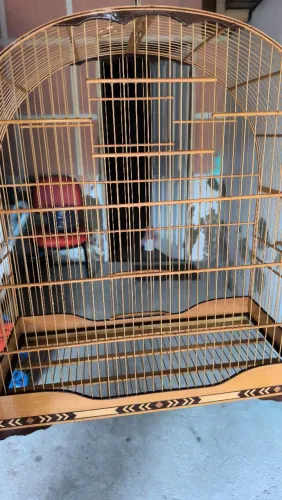 Gaiola Piracicaba vender 450