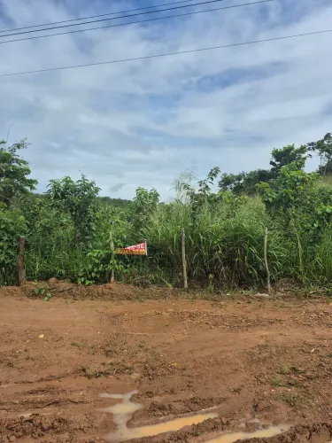Terreno na entrada de Carmópolis