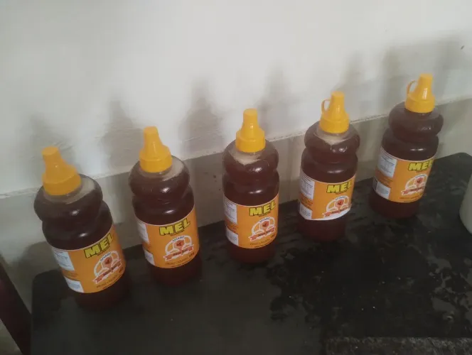 Mel puro e orgânico 