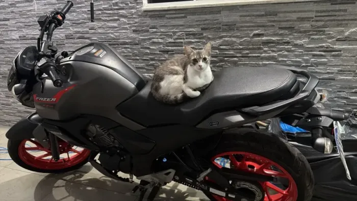 FZ15 2025 3 mil km tem débito