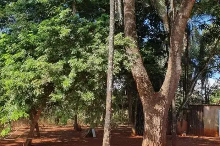 Chácara à venda no bairro Estância Vargem Bonita em Senador Canedo/GO