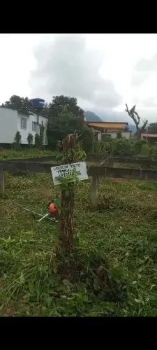 Vendo Terreno no Parque Mambucaba em frente a rua asfaltada