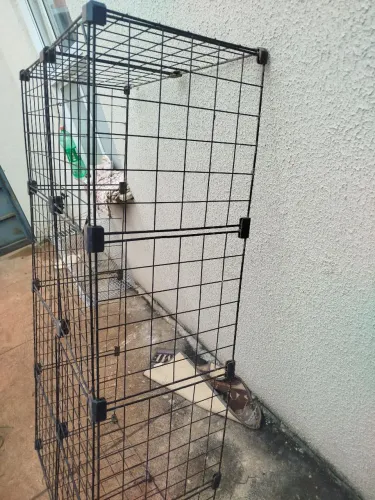 Cercado para porquinho da índia, coelhos a roedores, Shih Tzu 