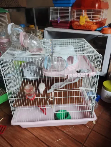 Gaiola de hamster