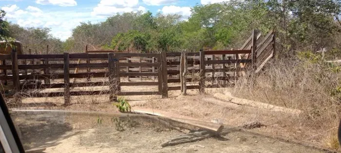 Fazenda Sul do Piauí