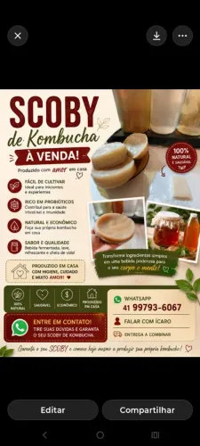 SCOBY PARA KOMBUCHA