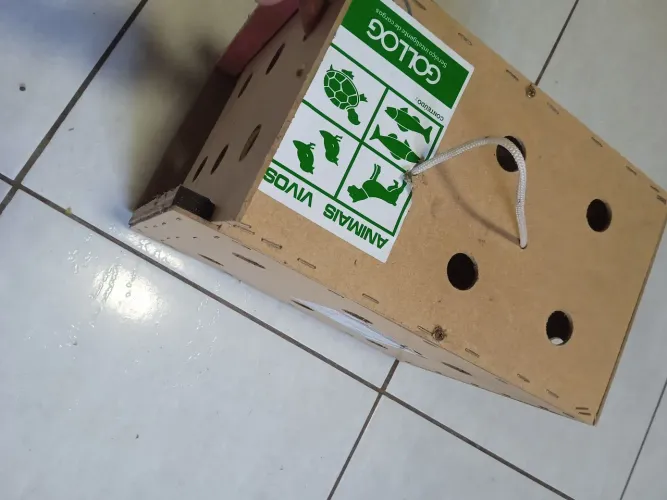 Caixa Transporte Animal
