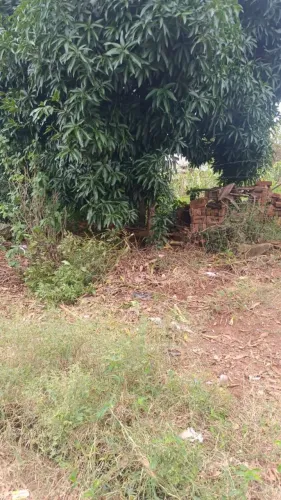 Vendo terreno no asfalto 