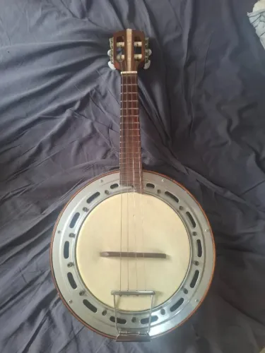 Banjo Jacarandá