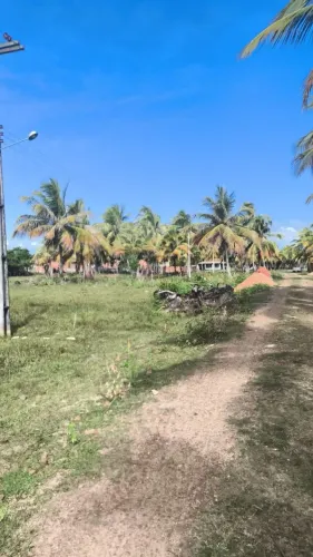 TERRENO NA ESTRADA DO ABAÍS