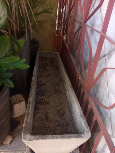 Vaso p plantas e hortaliças