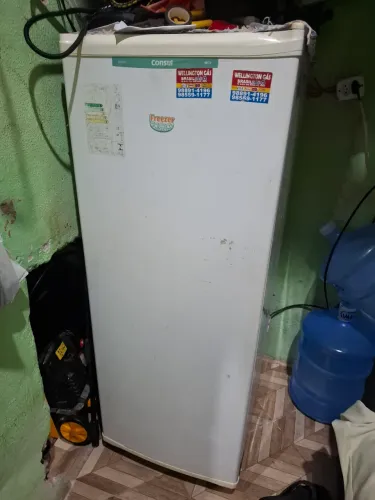 Freezer Consul Vertical 220V - Espaçoso e Funcionando Perfeitamente!