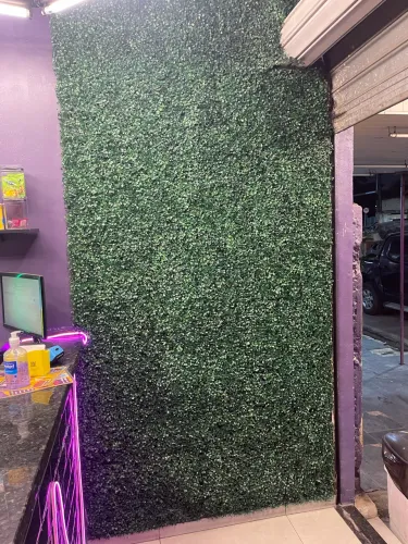 Revestimento jardim verde parede