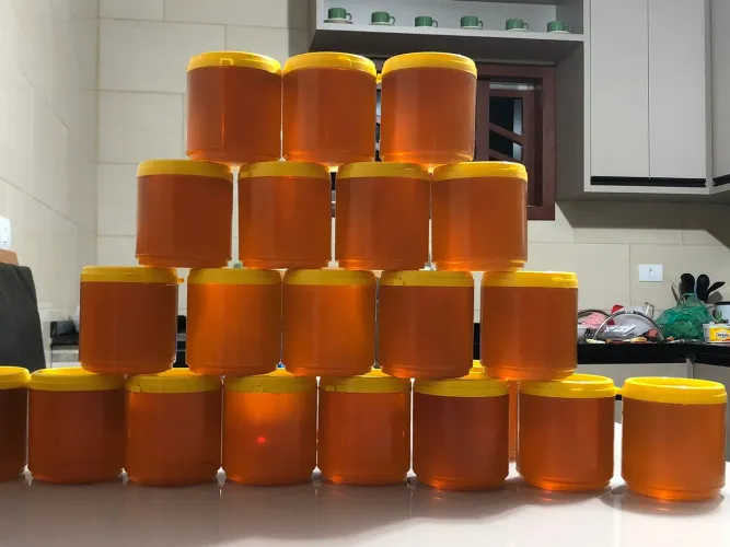 Mel Puro direto do produtor 