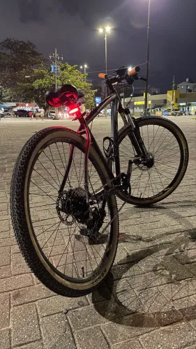 Bicicleta Aro 29 Rino Everest