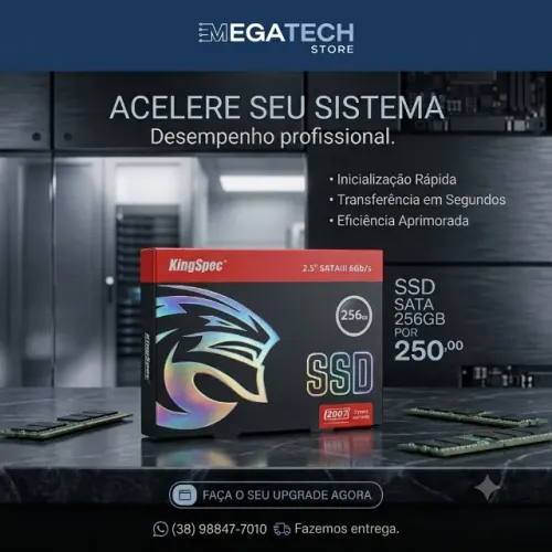 SSD SATA 256GB 3 MESES DE GARANTIA