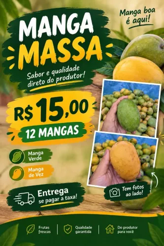 Manga massa verde, de vez e madura
