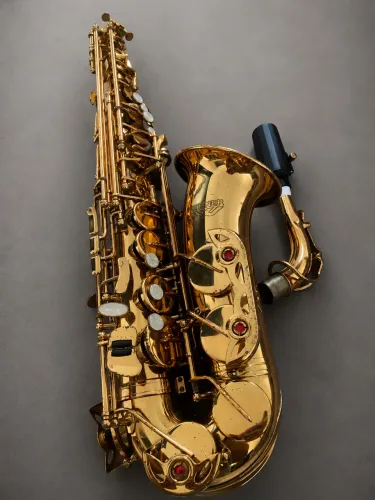 Sax Alto Winner