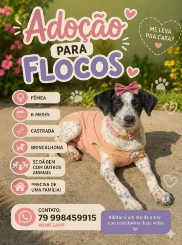 FLOCOS