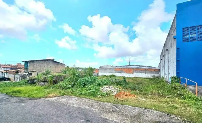 Aluguel de Terreno no bairro Novo Paraíso