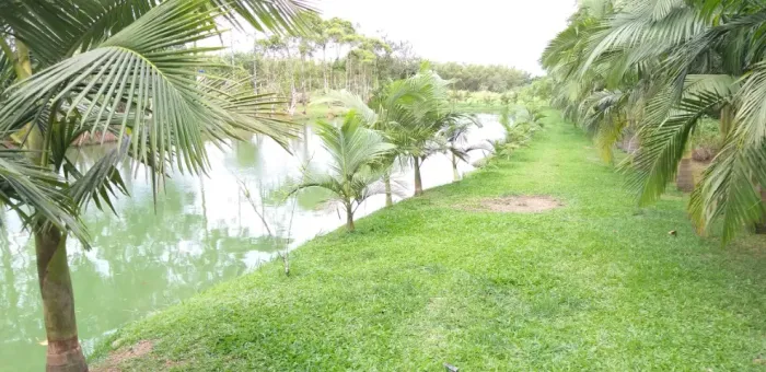 Linda propriedade com duas casas e área de lazer no Rio Bonito, Joinville com 15.000m²!