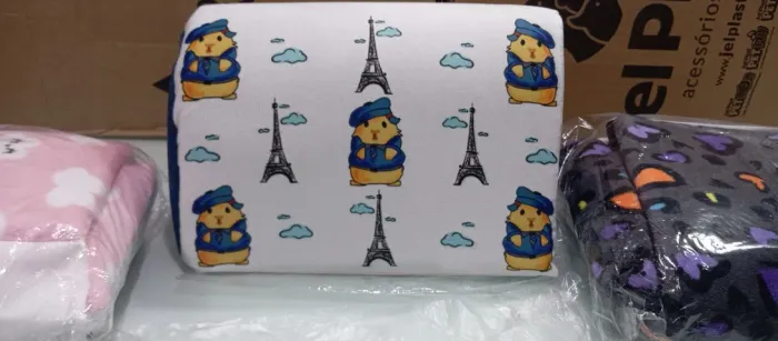 toca para porquinho da india