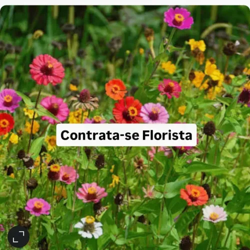 Contrata-se florista