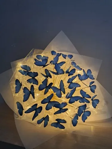 Buquês de Borboletas
