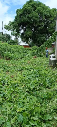 LIMPEZA E MANUTENÇÃO DE TERRENOS
