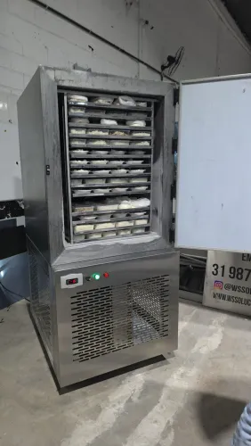 Ultra congelador 60kg
