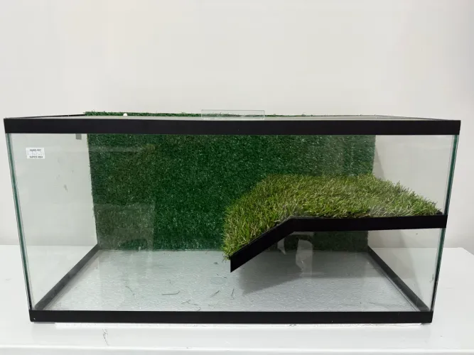 Terrário de 50x22x25cm novo com grana sintética plataforma fixa 